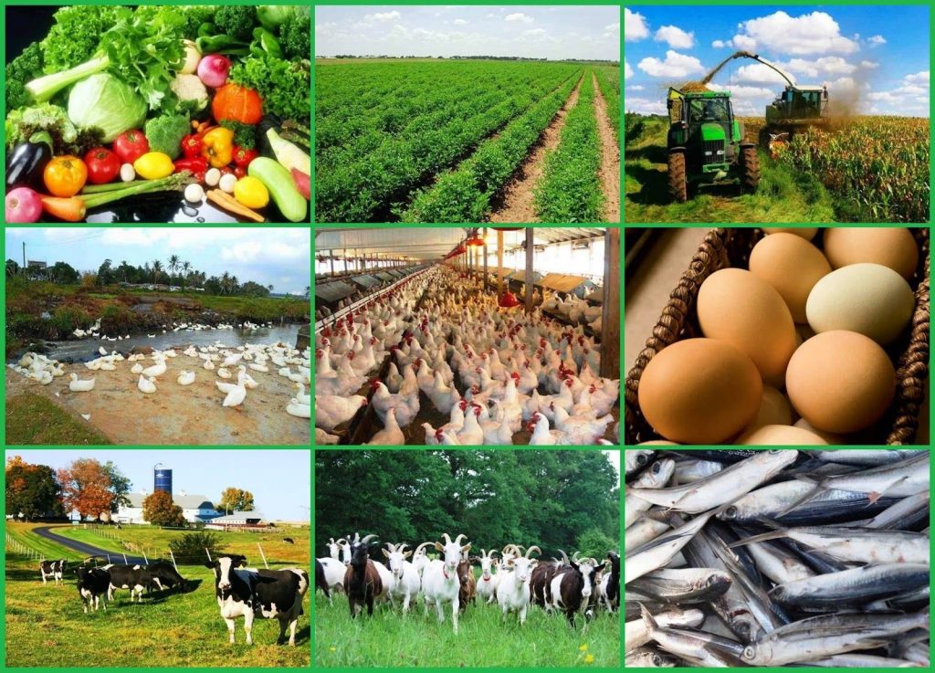 Agribusiness